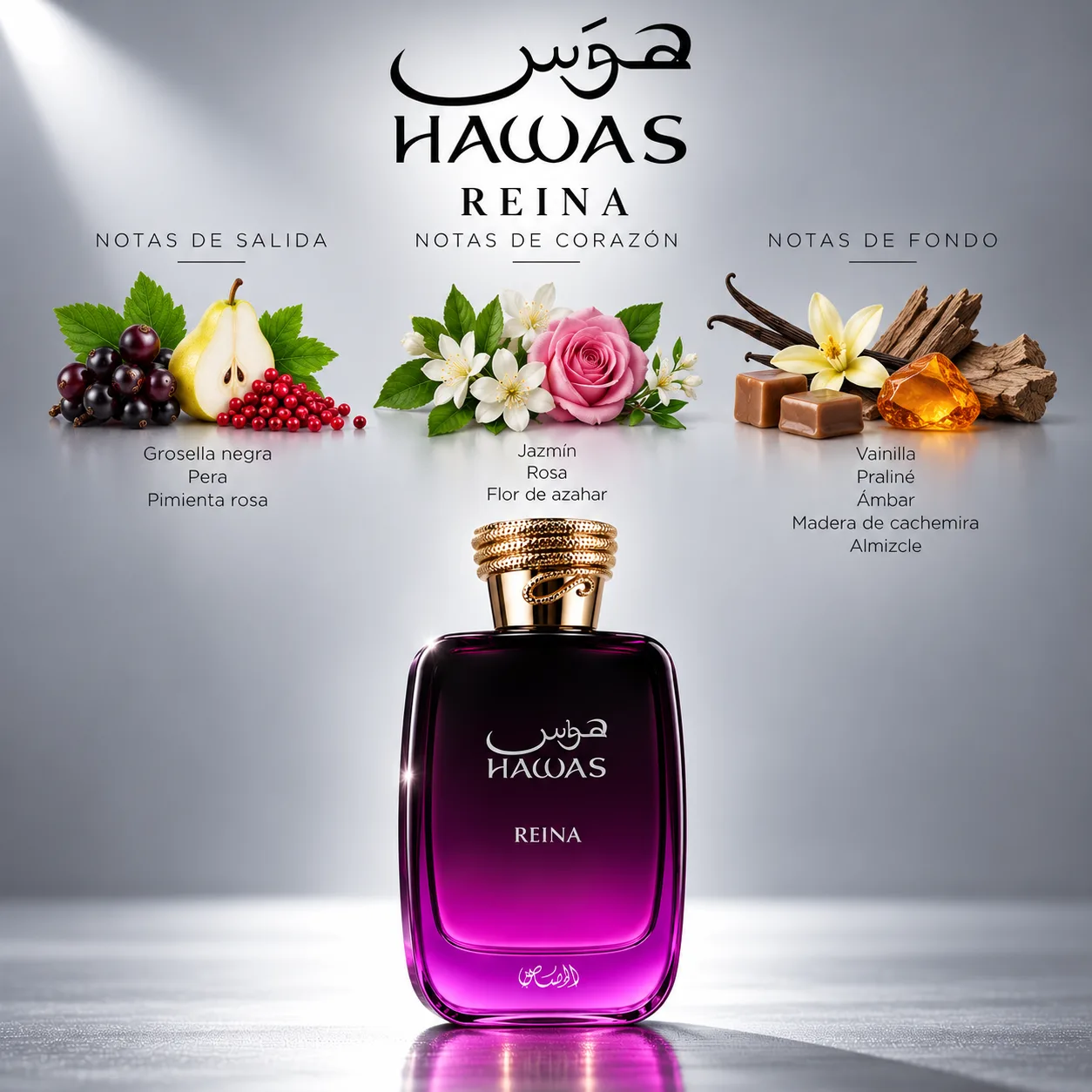 Hawas Reina · vista 3