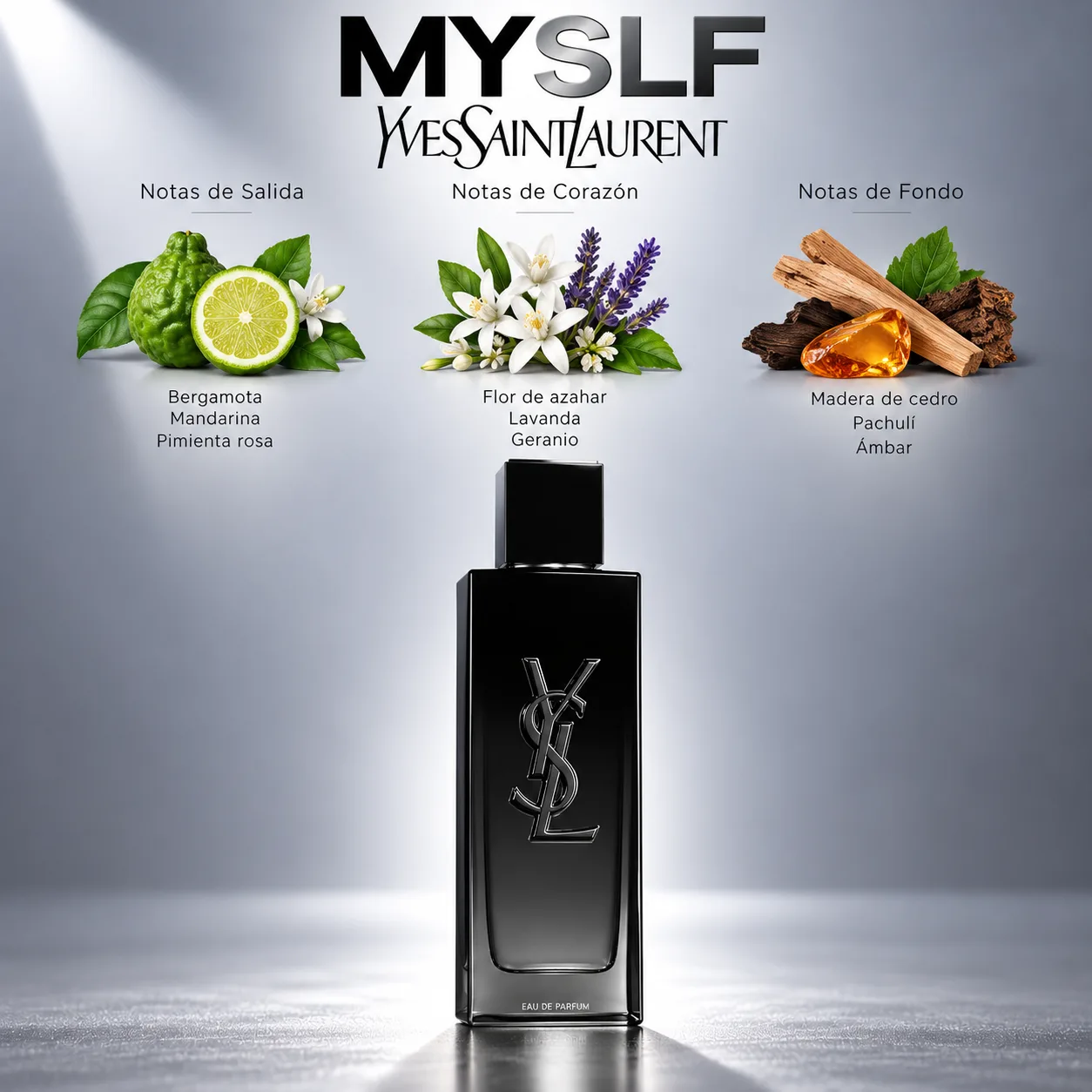 MYSLF · vista 3