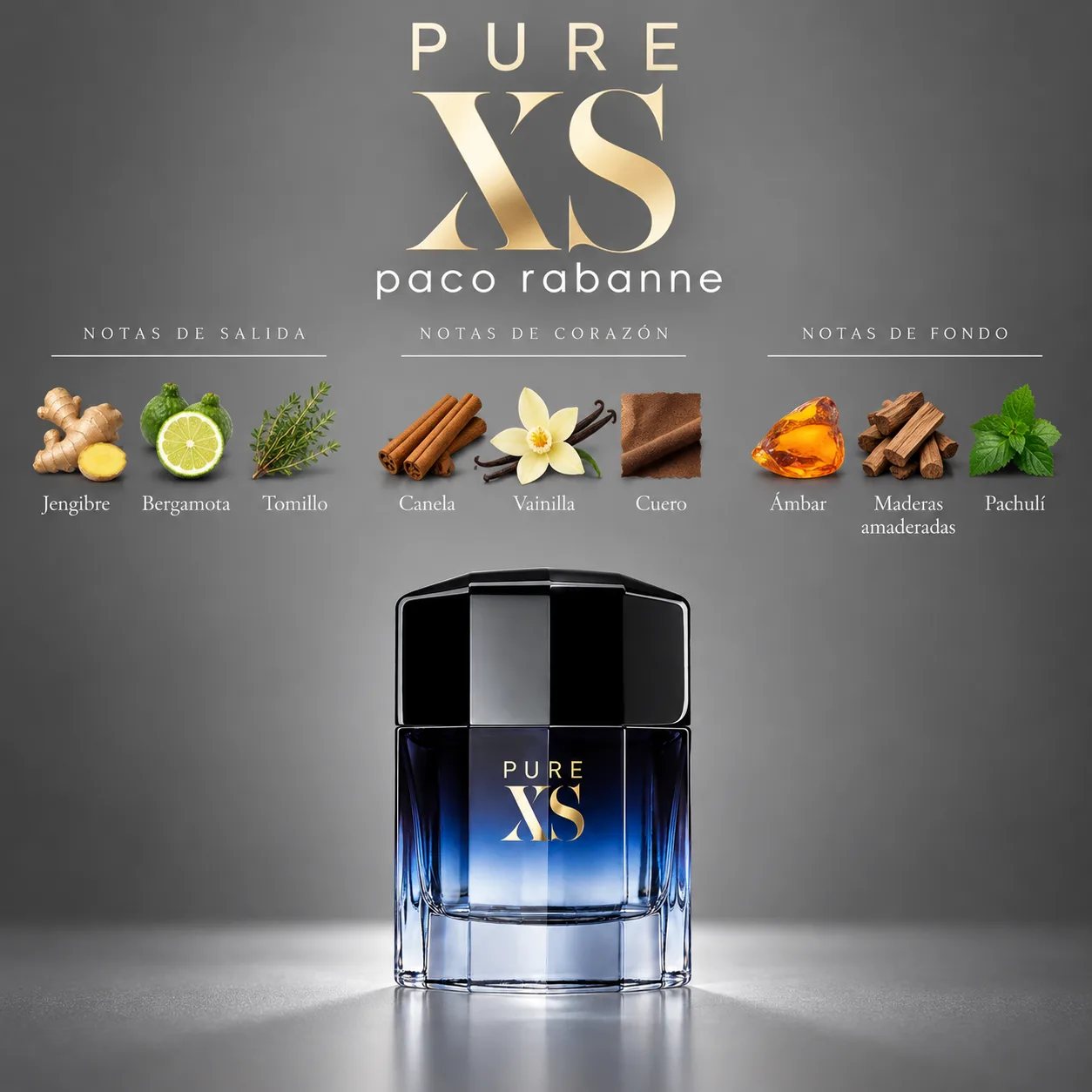 Pure XS · vista 3