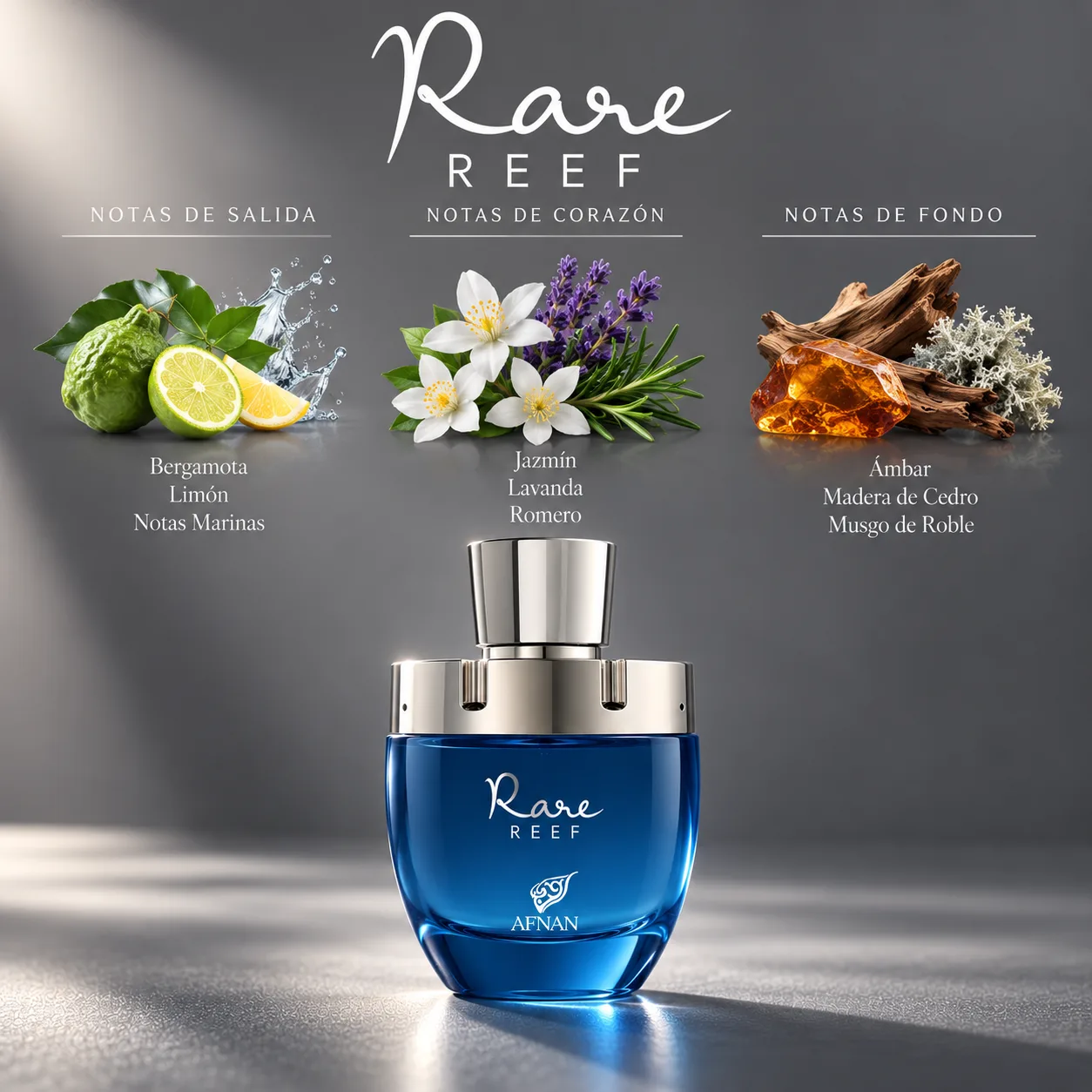 Rare Reef · vista 3