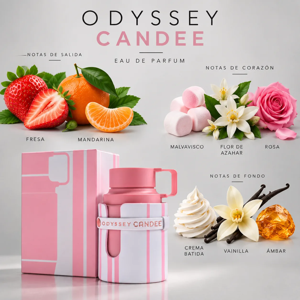 Odyssey Candee · vista 3