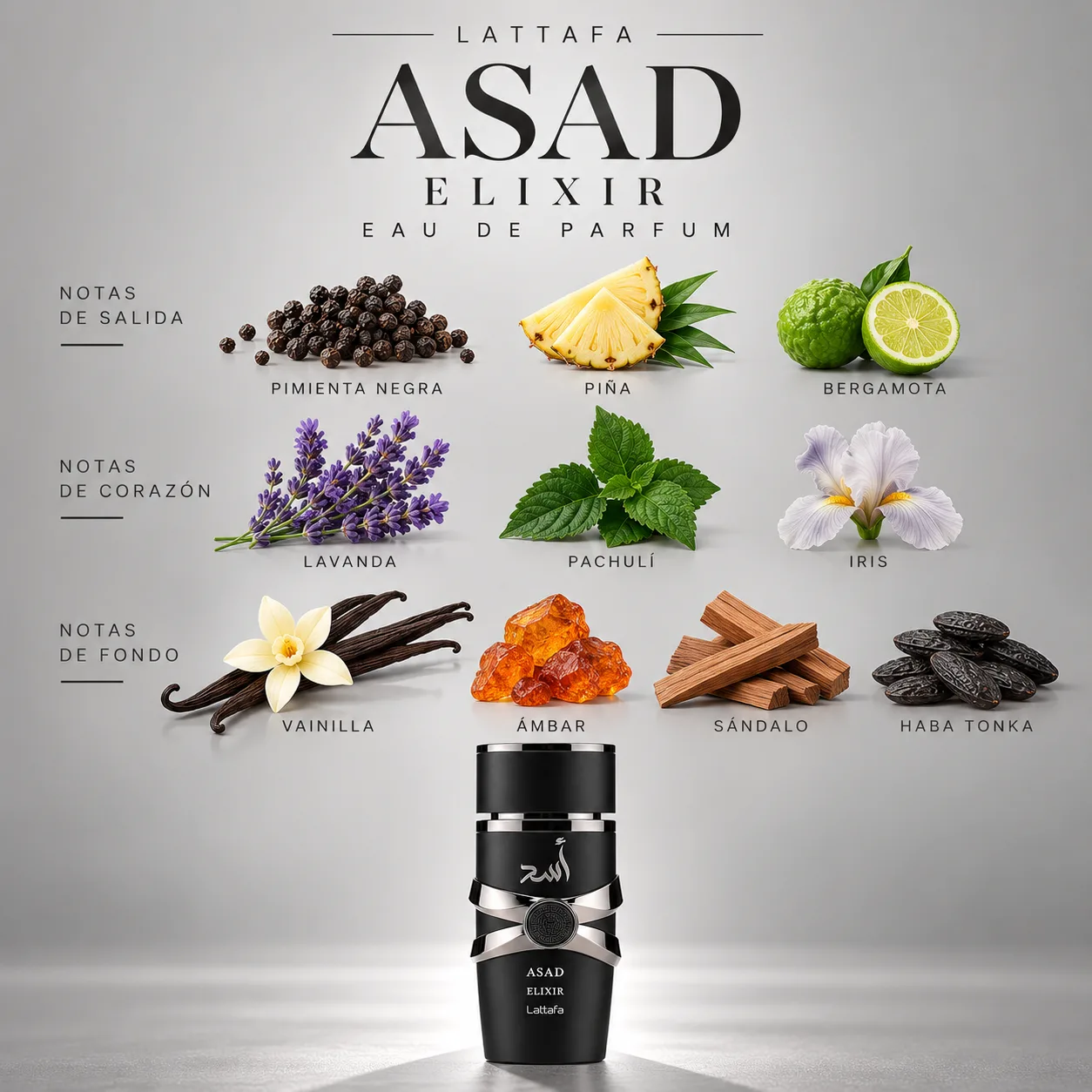 Asad Elixir · vista 3