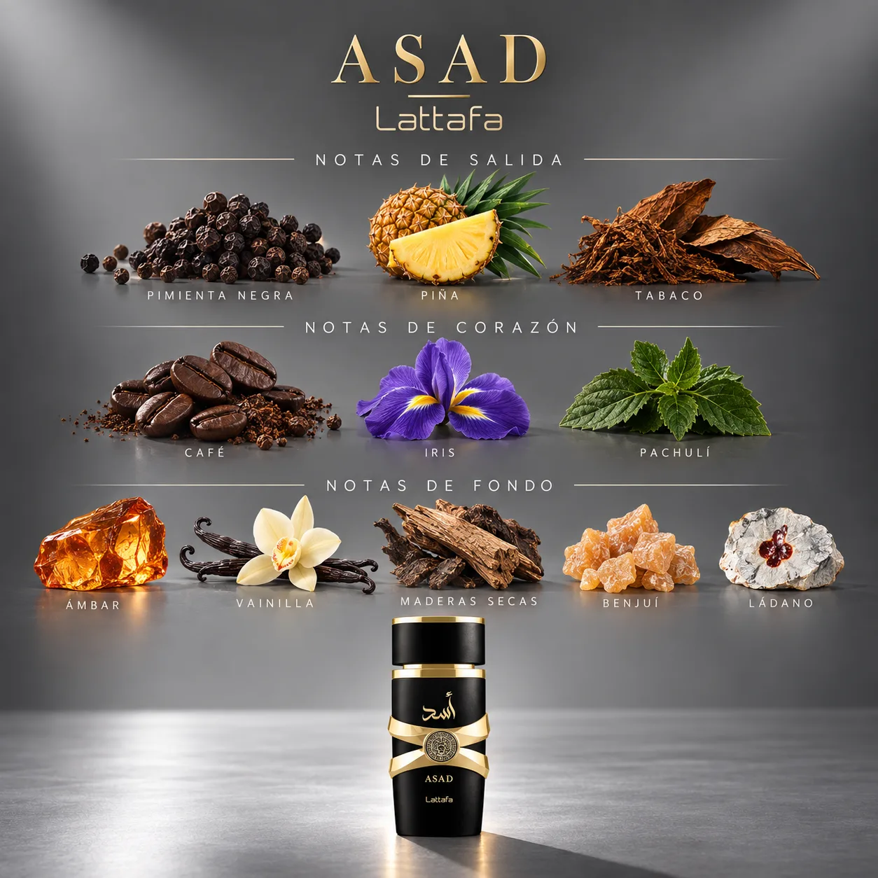 Asad · vista 3