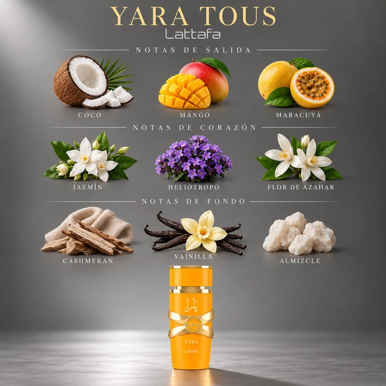 Yara Tous · vista 3