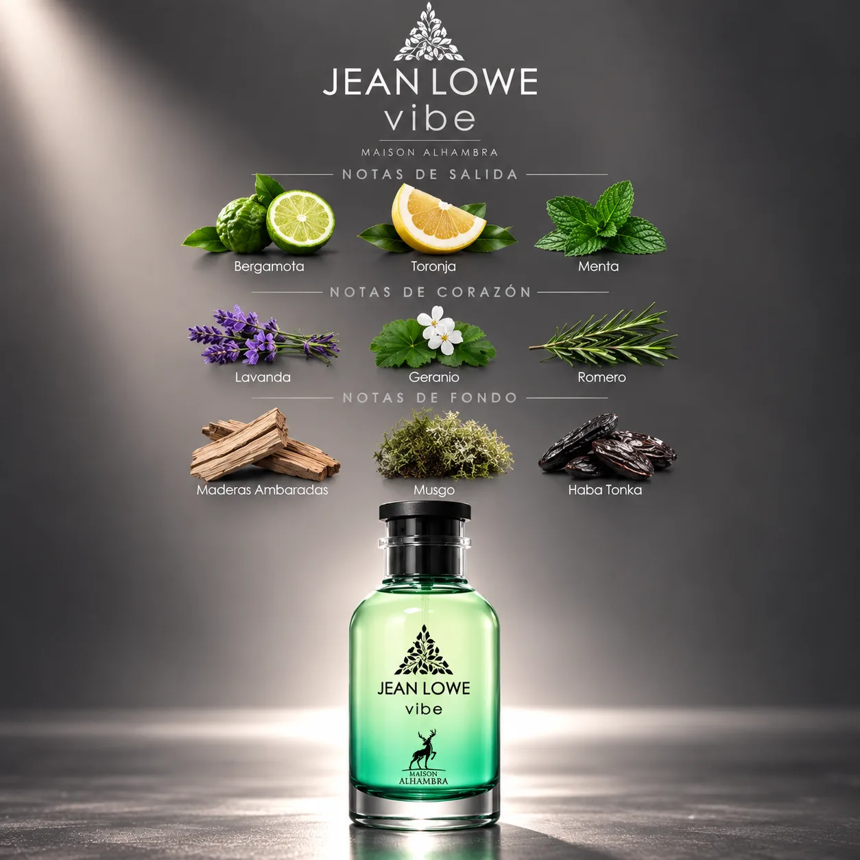 Jean Lowe Vibe · vista 3