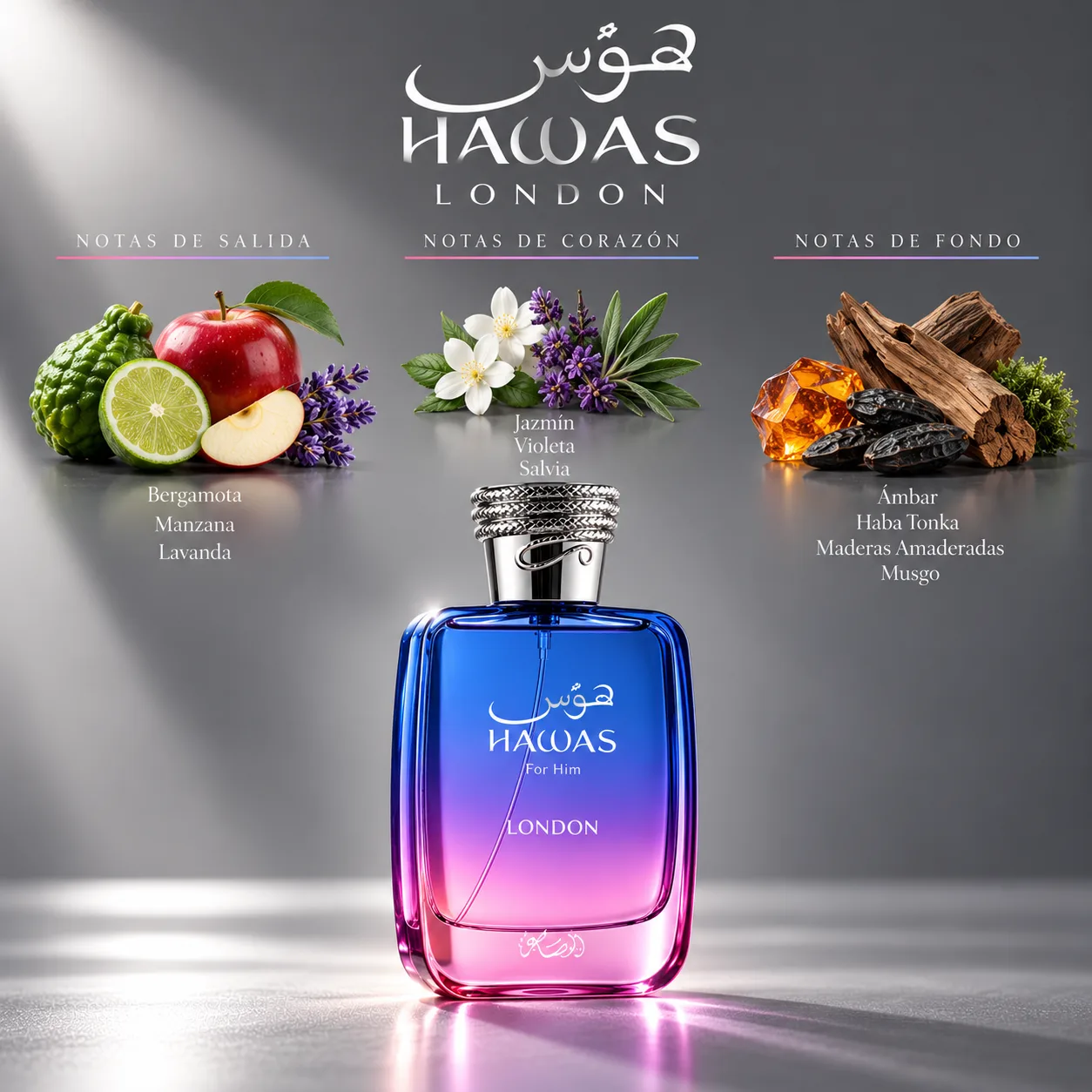 Hawas London · vista 3
